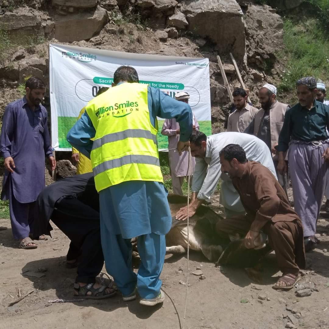 SheikhShahan21's tweet photo. Now make this eid Good for everyone let’s try . #QurbaniwithMillionSmiles 

You are invited to take part in this benevolence via the account details given below.

Account Title: Million Smiles Foundation
Bank: BANKISLAMI
PAKISTAN LTD 
A/c Number: 205357021940001 https://t.co/QgEDppQszS
