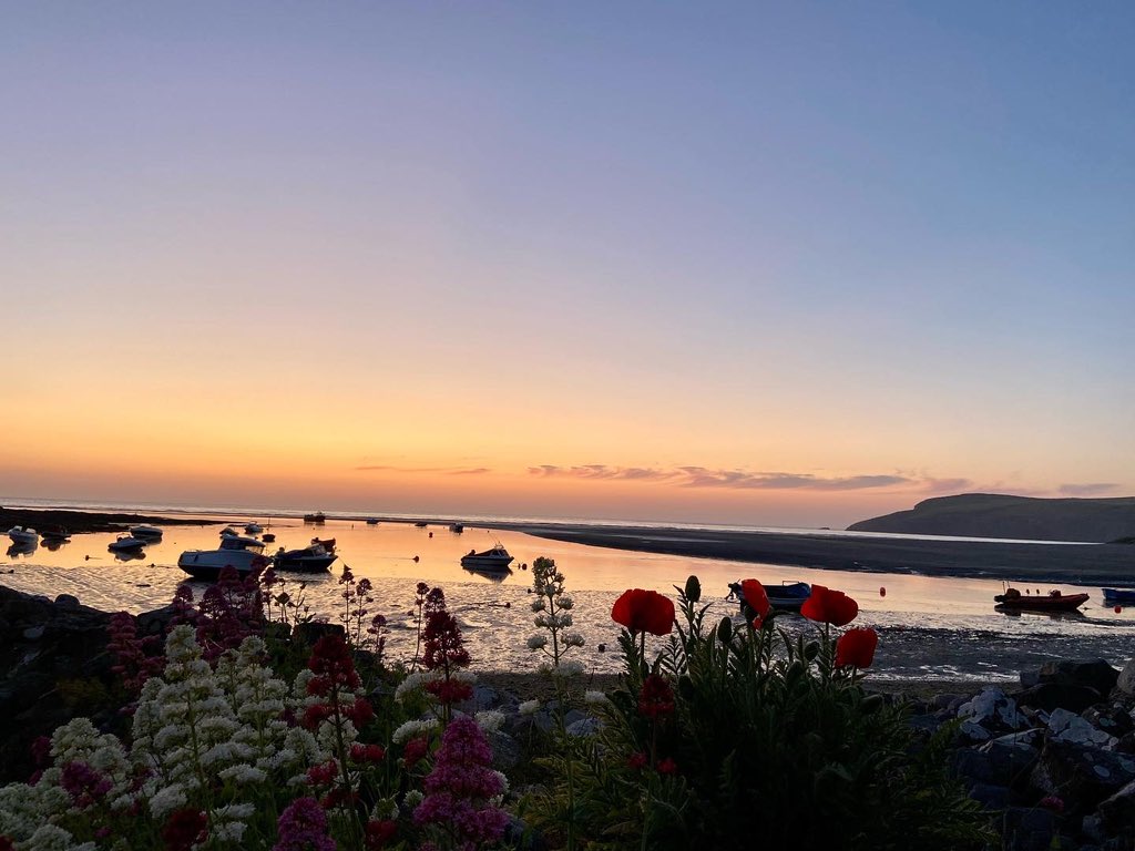 Magic 🏖️🥰 🌅 
#pembrokeshire #pembs #sunset #trefdraeth #newport