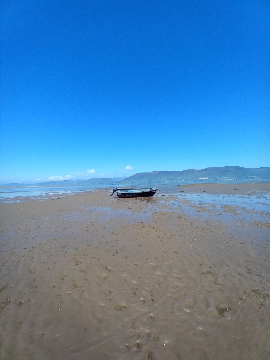 Summertime, and the living is easy 🎶

#June3rd #NoFilter #StormHour
#Cromane #Kerry #WildAtlanticWay
#lreland #BankHolidayWeekend