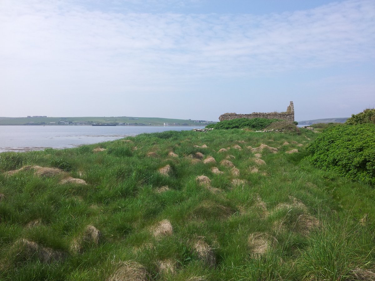 manonabeach's tweet photo. What the #beach means at #Widewall Bay on #SouthRonaldsay #Orkney in #Scotland, with @deer_distillery - https://t.co/dI88d9wUhQ https://t.co/kG4GmkT8xh