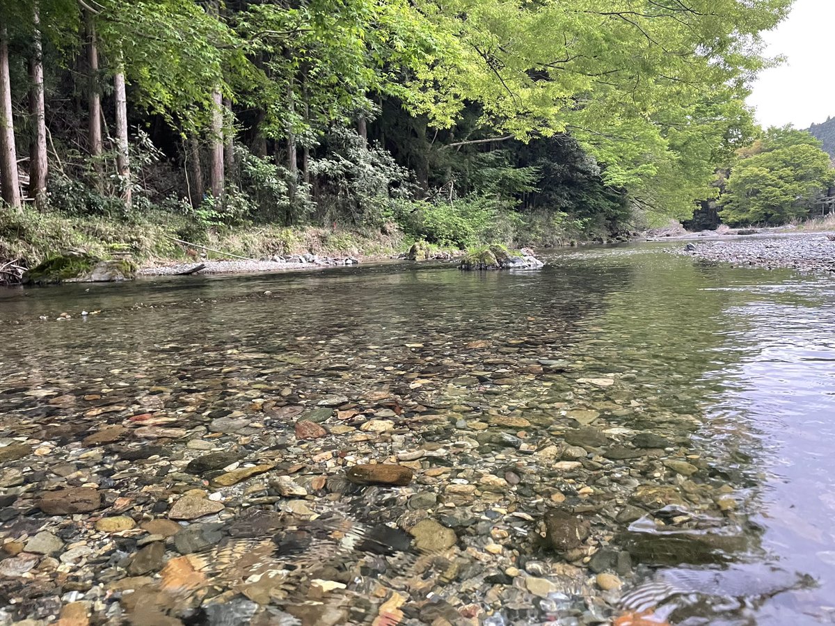 yamaneshuzo's tweet photo. 【拡散希望】やまね酒造は今年夏、やまねBBQ事業を本格的に開始いたします。
なんと、やまねBBQ＋やまね酒造のお酒飲み放題（3時間）付き3,000円（税込）です！
やまね酒造裏を流れる清流名栗川を眺めながら火おこし・片付け・ゴミ捨てなど弊社で行います。

やまねBBQ
https://t.co/Mswj4iS6xo https://t.co/D2PhyMLKWs