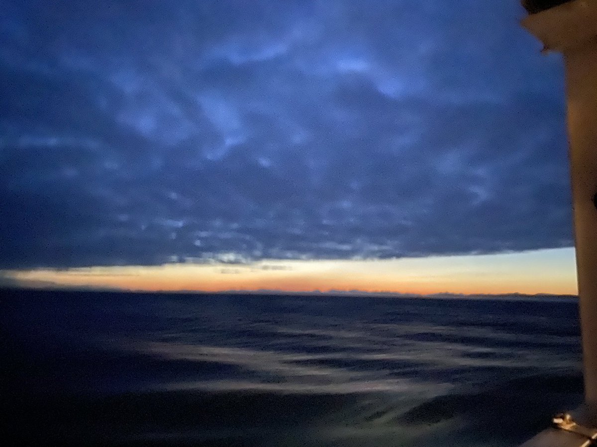 Haley Carlton tweet media