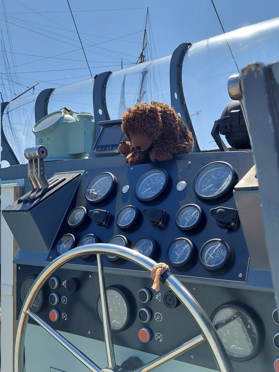 AdventuresOfBear tweet media