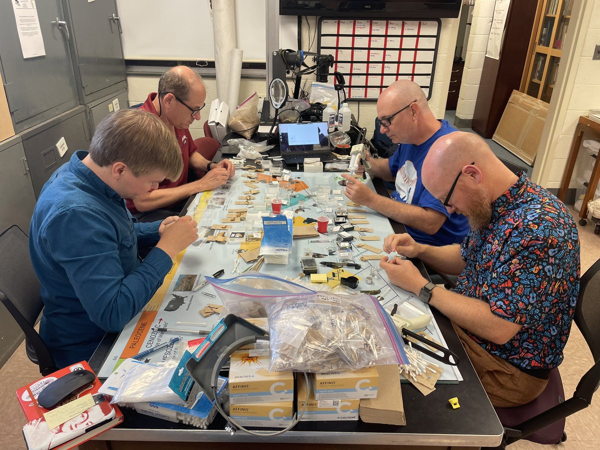 Fayum Primate microwear project — hard at work to help unravel mysteries of the Eocene-Oligocene Boundary <a href="/TheLeakeyFndtn/">The Leakey Foundation</a>