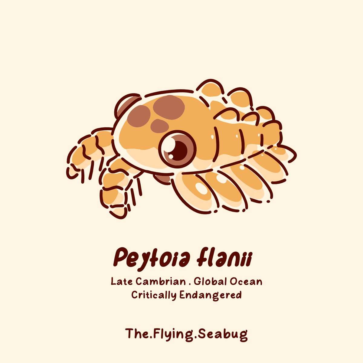 Peytoia flanii

I've been rollin since Late Cambrian, baby!! But I'm the only one remaining, damn it... I'm critically endangered!! My cousin, nathorsi and infercambrianensis have gone. 

#specevo #paleontology #anomalocaris #paleoart #art