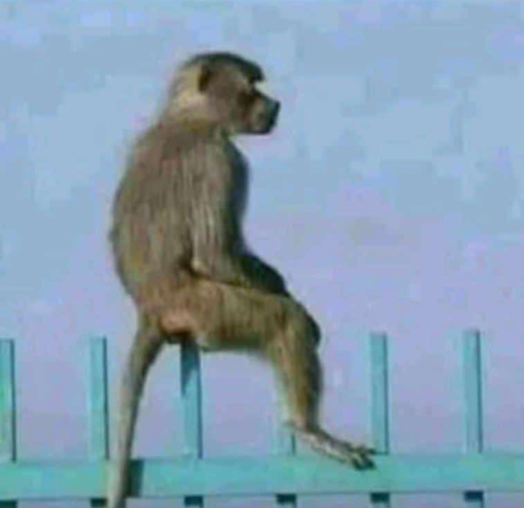 Support man city tonight or sit on the fence

Me