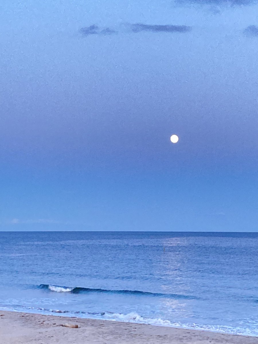 日没のグラデーションが美しかった🤩
啄木公園
明日は満月🌕