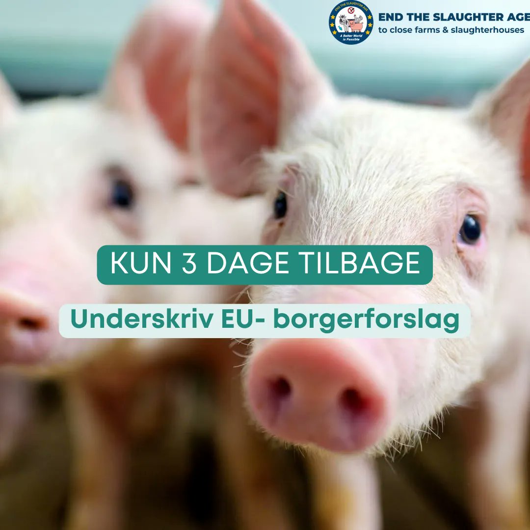Dyrene har brug for jeres hjælp med at fremme EU-initiativet "End the Cage Age" for at stoppe landbrugsstøtten til husdyravl og animalsk landbrug - altså at sætte en ordentlig stopklods for industrien
Her er et link til initiativet: dyren.es/45HK5fO
Tak for jeres støtte 🐷