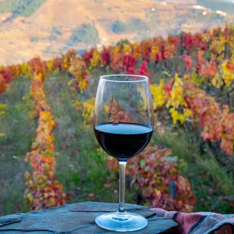Emprendedores gastronómicos y opciones de buen beber se reúnen este sábado 10 de junio en la nueva edición de este evento dentro del ciclo Wine Tasting Friends en el salón Majestic de Banquetes Gales en CCCT.

<a href="/Esnobgourmet/">Esnobismo gourmet</a>

¡Lee más detalles aquí!
pasionpais.net/2023/06/02/cul…