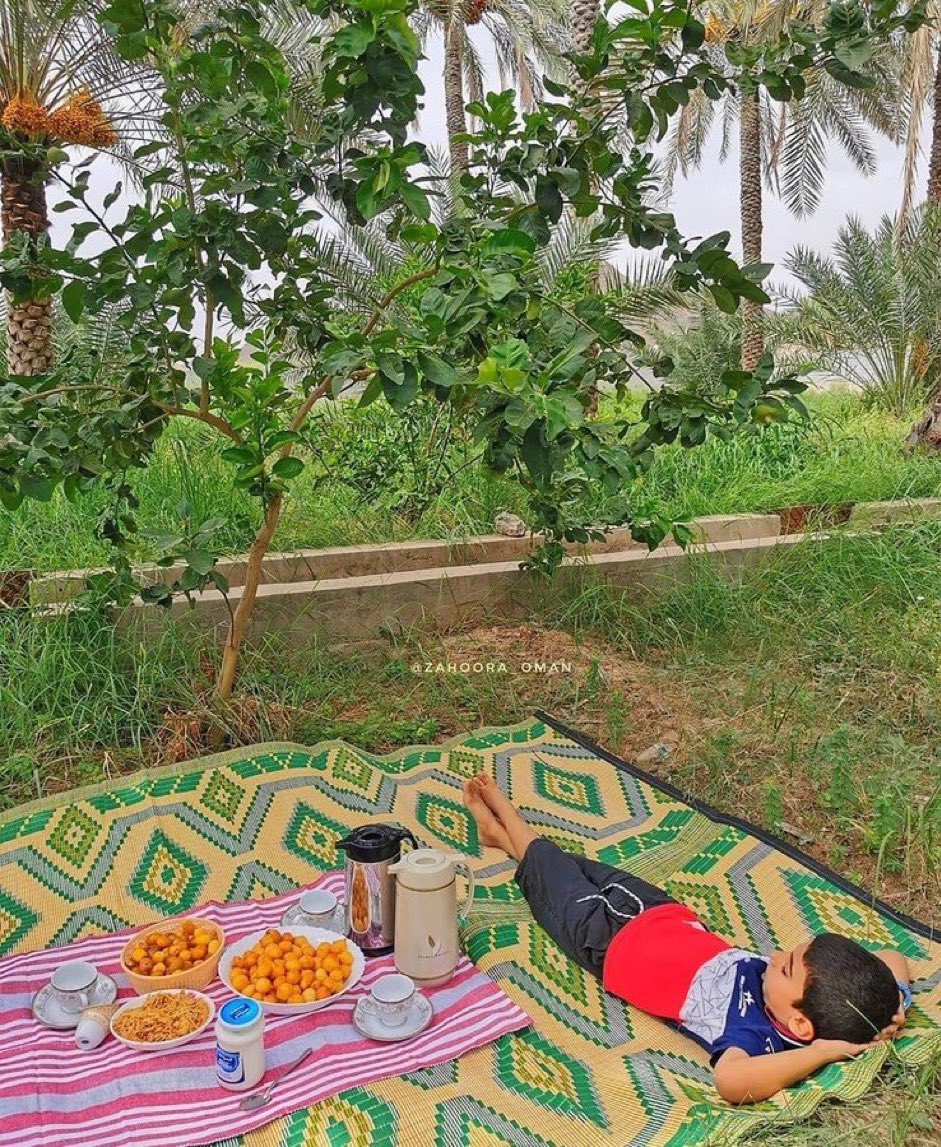 بوليفار tweet media