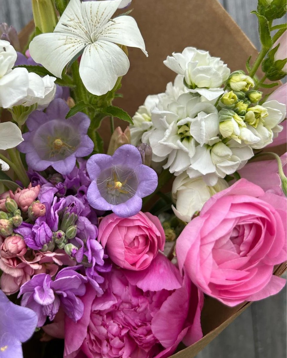 VAfoodie's tweet photo. 🌸Buying #local makes the blooms seem sweeter.
#vafoodie⁠ #flowers #flowerfarm

📷: @sweetgreensfarm https://t.co/X8Y58gFH4W
