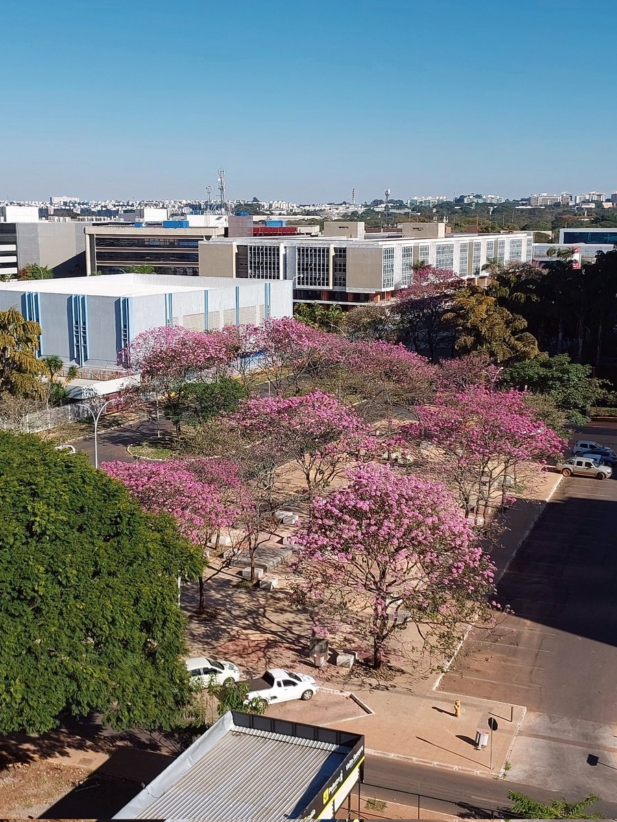 Brunno Melo tweet media