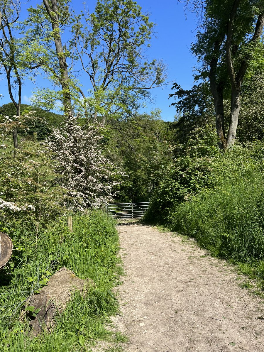 Beautiful day for walking @Yorkshire_Wolds @woldsway