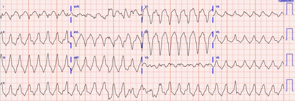 Stephen W. Smith tweet media