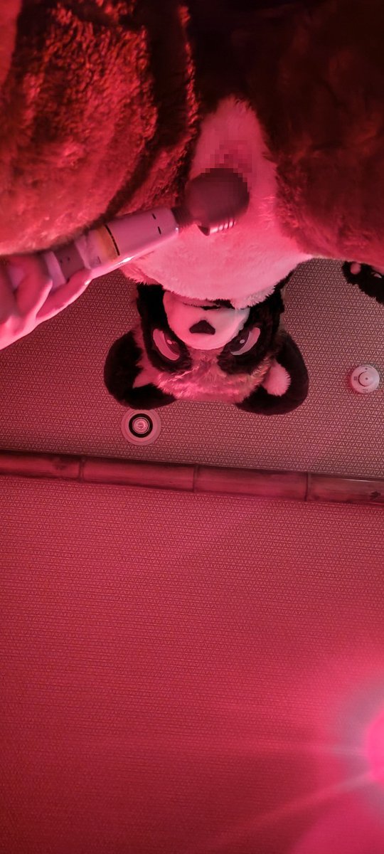 youkaimesutanu's tweet photo. ファンティア投稿しました～
今回はX字張り付け＋電マ責めの動画と写真です💜

足を強制的に開かされちゃうのってとってもえっちですよね…！

今回鍋コースは動画2本立てです💜

【オリジナル】 X字張り付け電マ責め - 狸穴倶楽部 (雌狸あやの)の投稿｜ファンティア[Fantia] https://t.co/g30aQyP59G https://t.co/mH4SvZlJpc