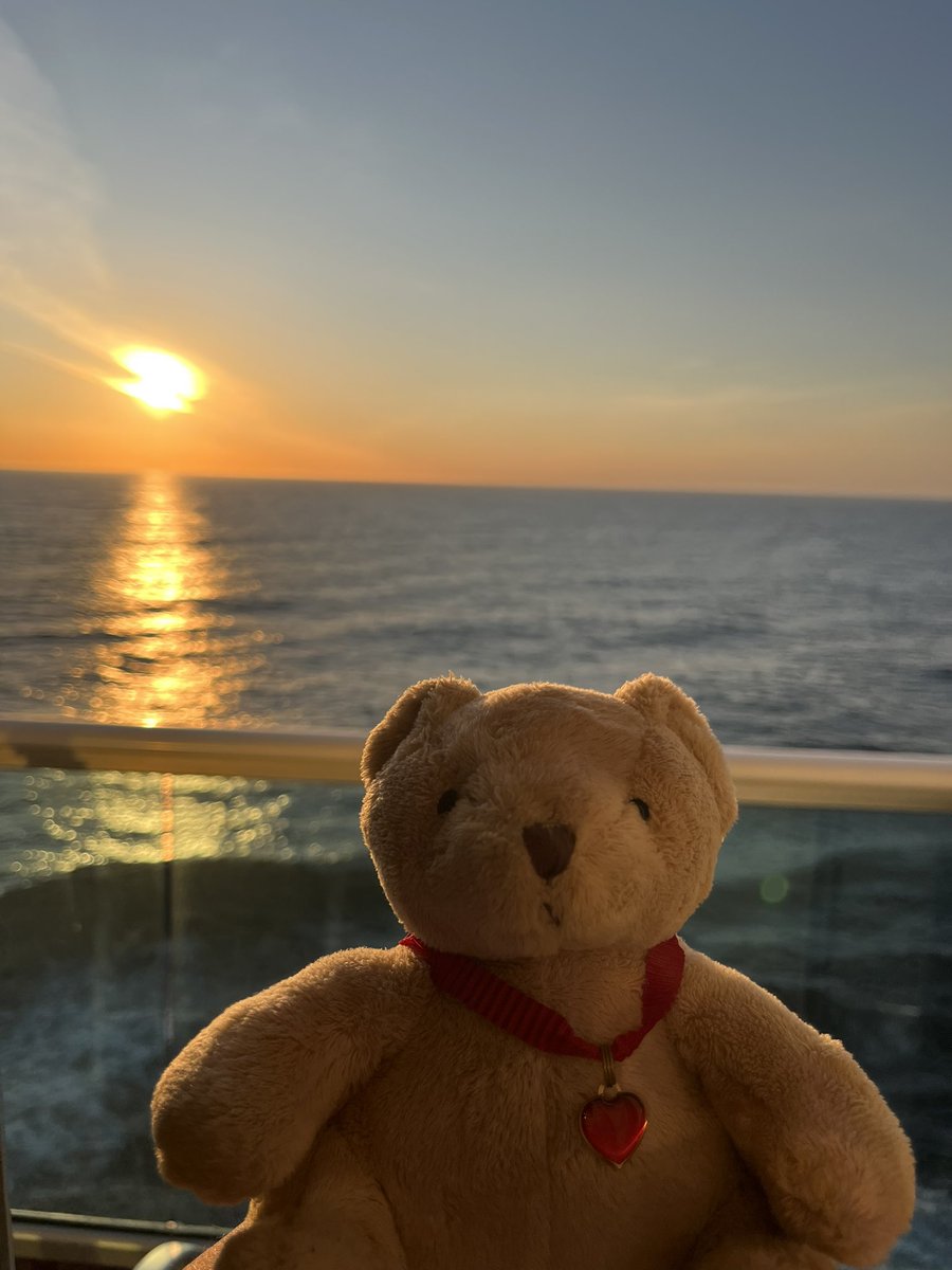 Just back from a week on Sky Princess @PrincessCruises fantastic time (our first ever cruise) here’s our travel friend from home enjoying the sunset on our balcony!! Next cruise already booked on #Skyprincess for later in year.