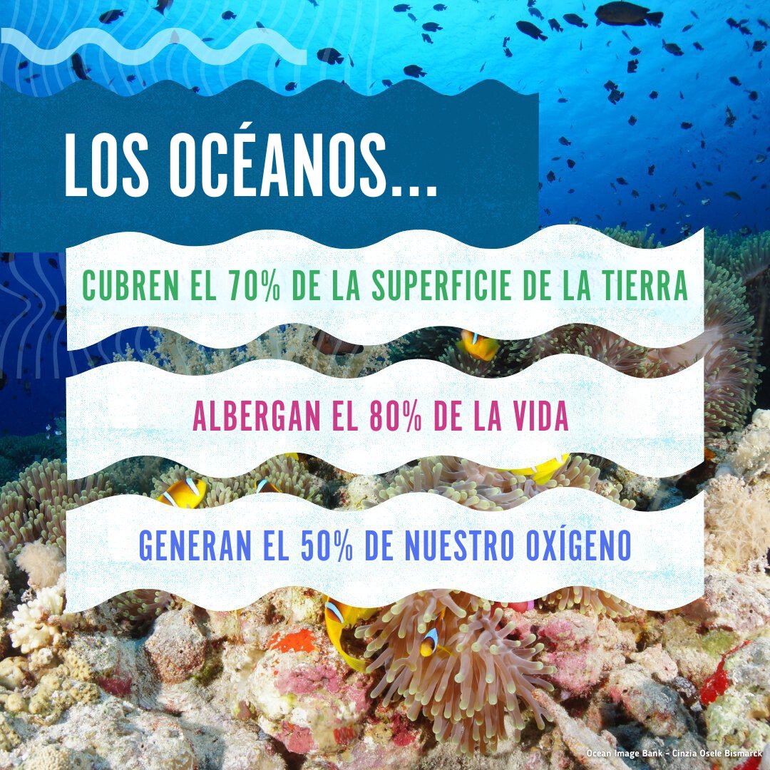 🌊 Los océanos son el mayor ecosistema del planeta Tierra.

El océano nos mantiene vivos, para ello debemos mantenerlo vivo.

#ActúaAhora para que #SalvemosLosOcéanos.