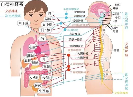 残り14県