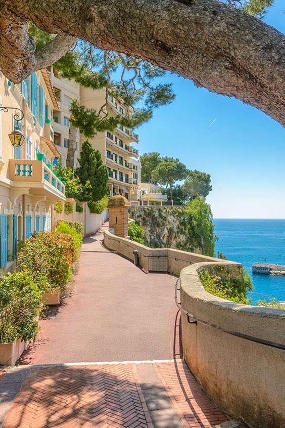Monte Carlo
Monaco 🇲🇨