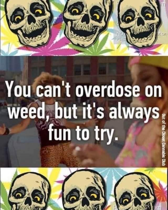 Got a game plan for the weekend if not try this one. #freakyfriday420 #thecandilady #motafresh #WakeNBake #420Life #420community #420friendly #Weedmob #WeedLovers #Weedsmokers #WeedLife #420 #weed #StonerFam #STONER #stonernation #stonerthoughts #Mmemberville