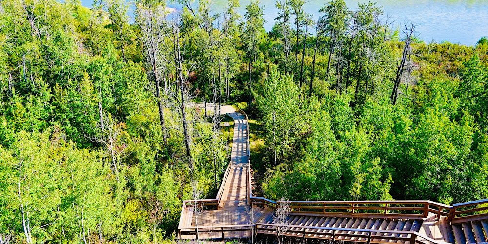June 10 meditation + trail walk, hosted by River Valley Alliance, at Prospectors Point ⁦<a href="/RiverValleyPark/">RiverValleyAlliance</a>⁩ ⁦<a href="/amandapapa/">Amanda Papadopoulos</a>⁩ ⁦<a href="/ParklandCounty/">Parkland County</a>⁩ ⁦@yegmetro⁩ ⁦<a href="/shaigec/">Rod Shaigec 🇺🇦</a>⁩ ⁦<a href="/YEGRiverValley/">YEG River Valley</a>⁩