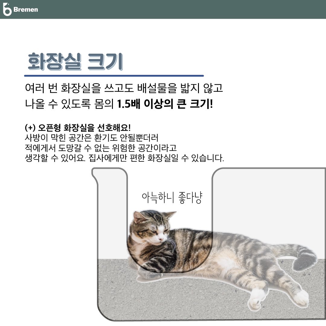 o3odhghd's tweet photo. #백호누나  고양이 집사인데 이해가 안되는 부분이 있습니다. 고양이의 행복도는 화장실의 크기라고 이야기할만큼 화장실 크기와 모양이 굉장히 중요합니다.. 근데 사진에 보이는 화장실은....... 호랑이를 위한 환경이 맞나요? https://t.co/D6nQPOy6FP