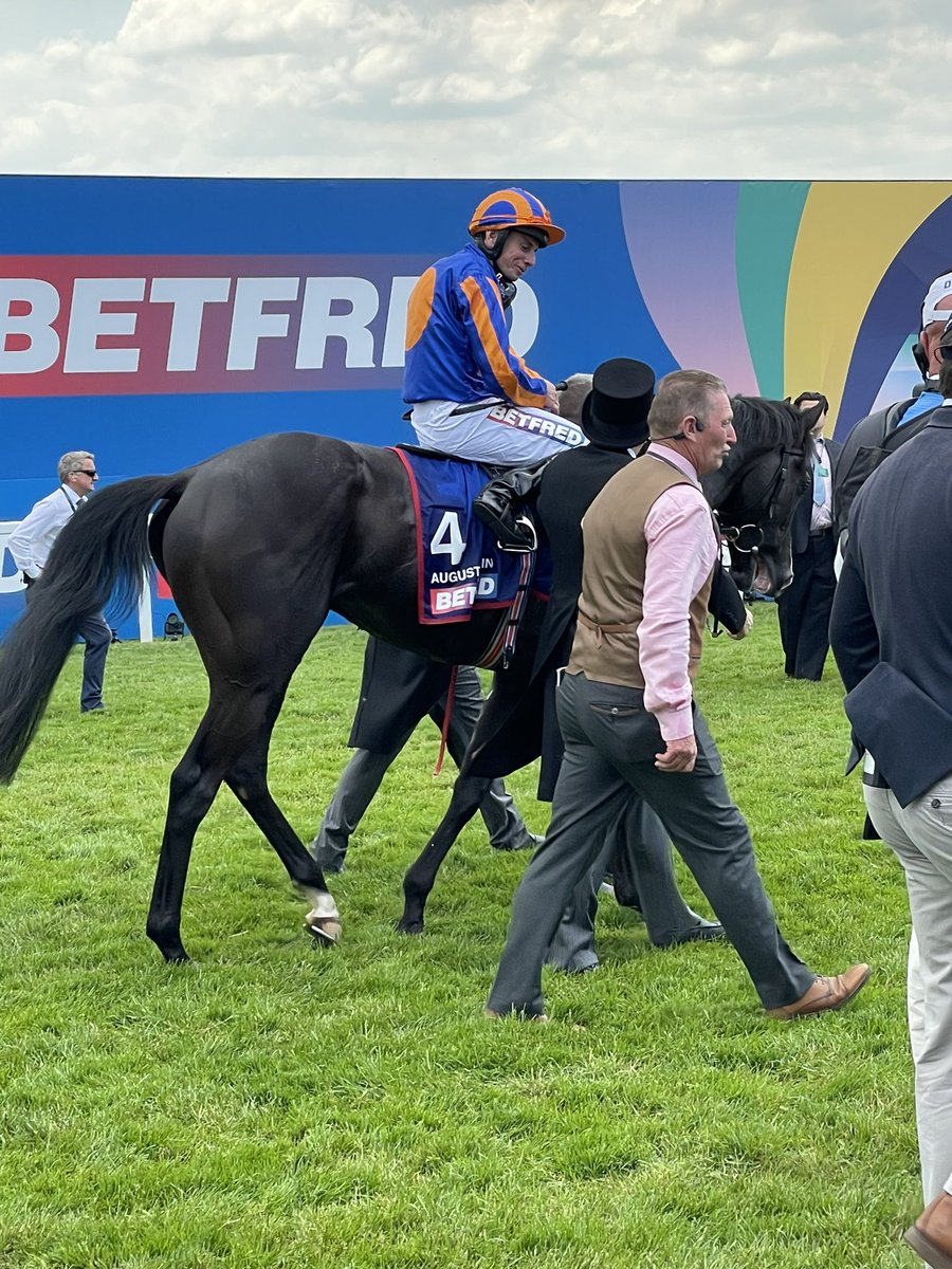 The Derby winner - Auguste Rodin

@epsomdownsracecourse <a href="/coolmorestud/">Coolmore</a> #epsom #thederby #aidanobrien #epsom
