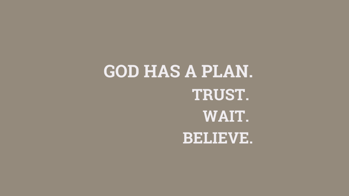 wise_chimp's tweet photo. God has a plan https://t.co/9mLTNjZ0ys
