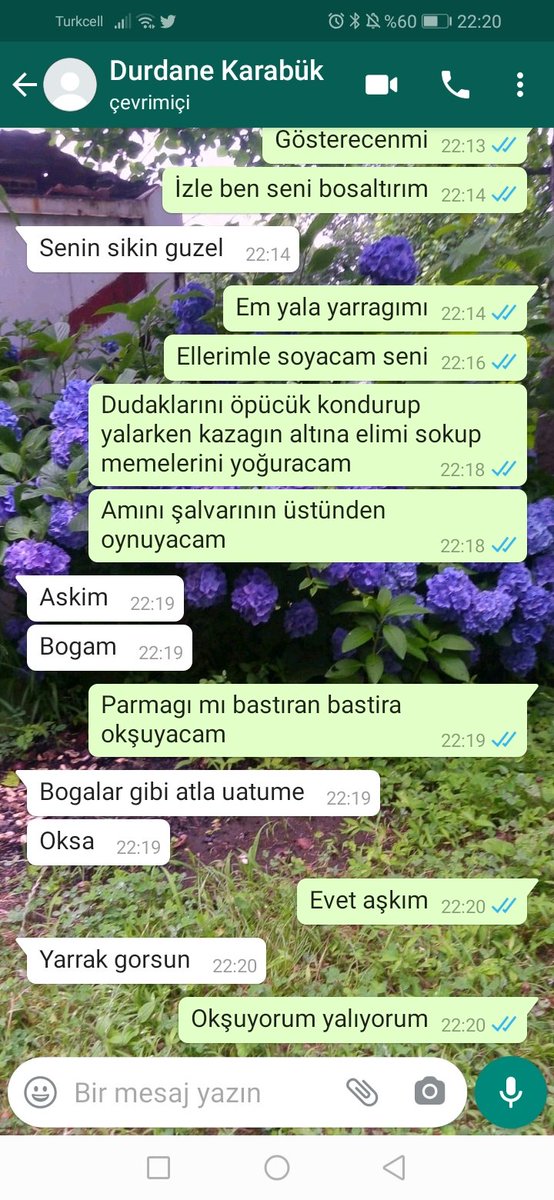 Emel02419835's tweet photo. @aybukeniizzz Karabük azgın hemcinsim 
+905446820132 https://t.co/tCQrlVukk2