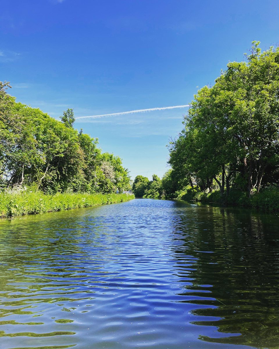 Elaine Emmerson tweet media