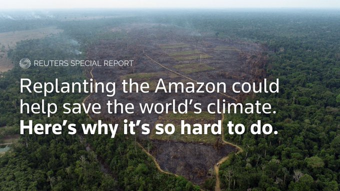 Replanting the Amazon could slow global warming. Here’s why it’s hard