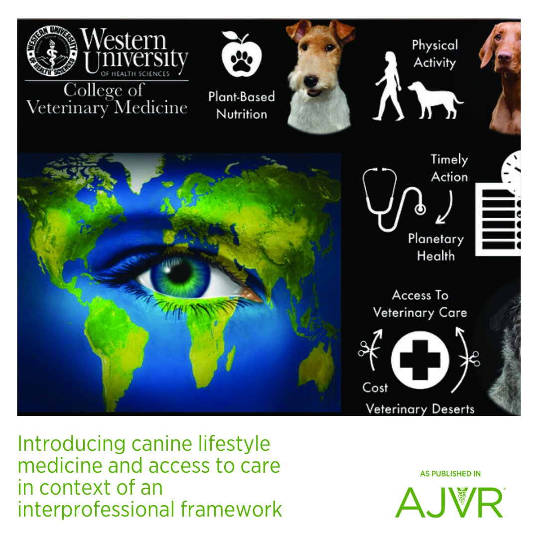 It's Spotlight Saturday! ✨ Learn how @WesternUNews is introducing canine lifestyle medicine and access to care in the context of an interprofessional framework: jav.ma/westernu #vetstudent #vetschool #vetmed