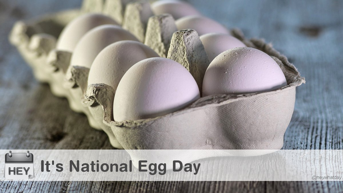 It's National Egg Day! 
#NationalEggDay #EggDay #Food