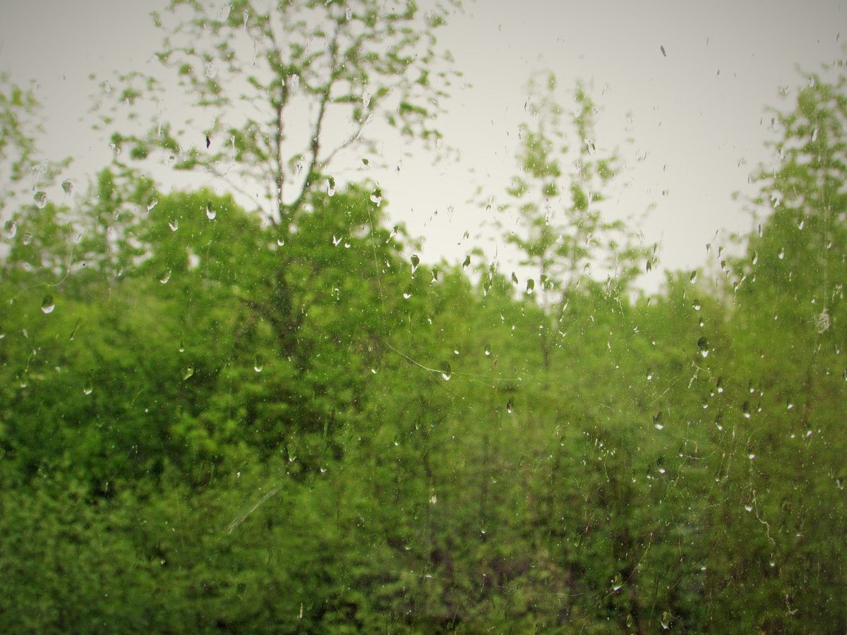 It may not look like much at first--but raindrops on a window can be the sweetest sight in the world--when you live in NB or NS in this terrible fire season.  #NSFire