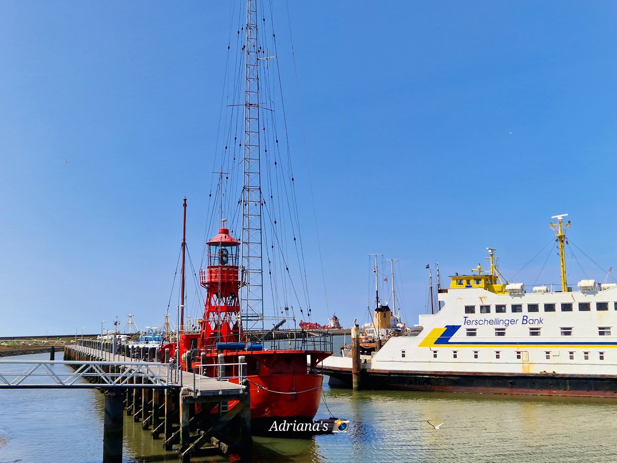 ArjaKastelein's tweet photo. De #YedPrior is weer onderweg dus #sleepbootjenny is weer klaar met het werk...#nieuwewillemshaven ⚓️🛟😊 https://t.co/nYZpNBH749