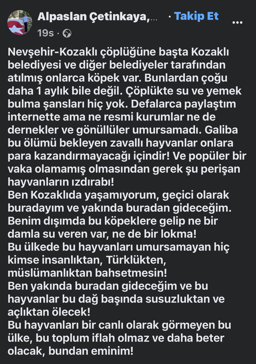 Srpulsy's tweet photo. Nevşehir-Kozaklı çöplüğü, sayısız yavru köpek atılmış kimi ölmüş kimi yaşamaya çalışıyor! Belediyeler toplama yapıp buralara atıyor. @nevsehir_bel @nevsehirvalilik @Kozakli_ @Kozaklibelediye Acilen bu bölgedeki canlar kurtarılmalı!#SokakHayvanlarıSahipsizDeğil https://t.co/OBG9OYe4f9