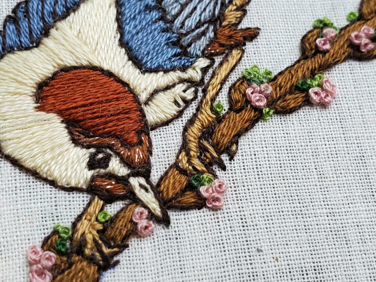 gracelbotany's tweet photo. 🪡 bird stitch of the week 🐦 https://t.co/Lwoq2oVIDd