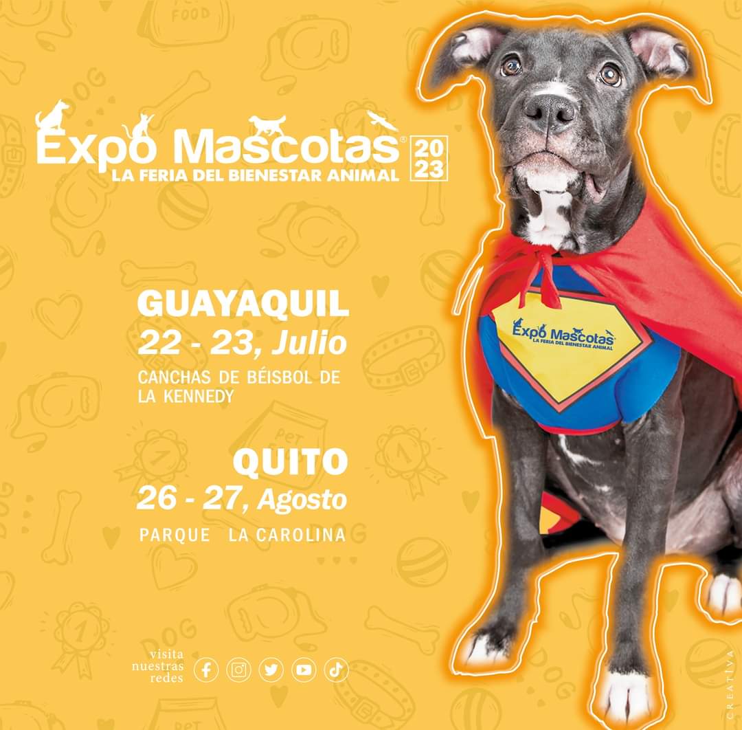 Expomascotas593's tweet photo. https://t.co/WEI6mZsMAI