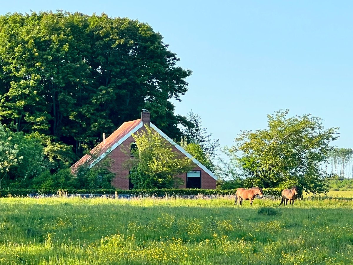 Karin Scholte -de Jonge tweet media