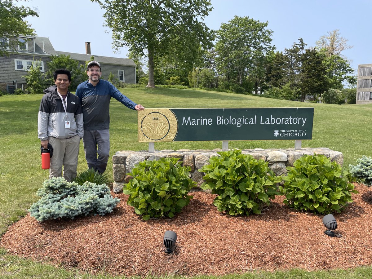 joel sachs tweet media