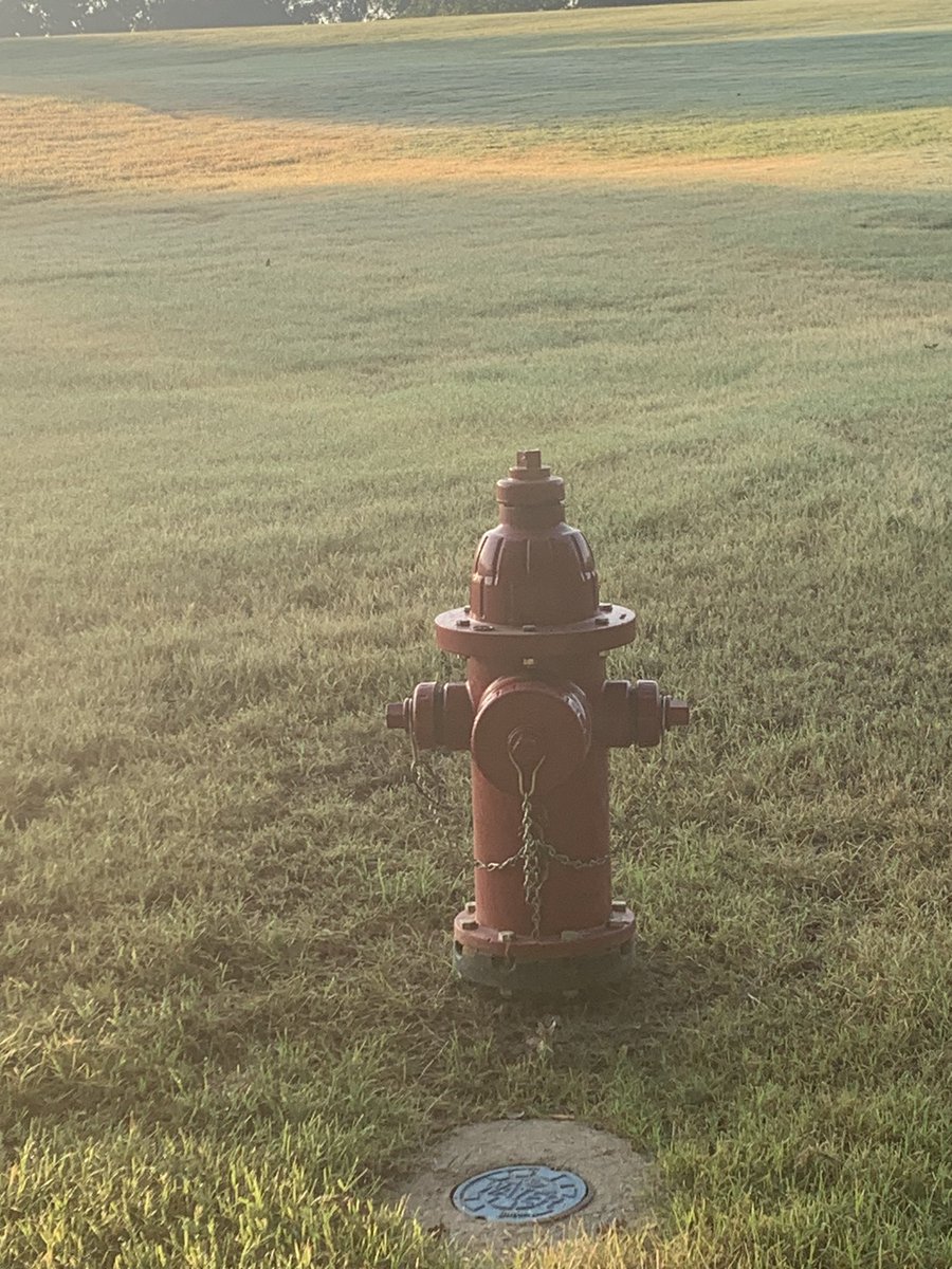 Joining in the fun for #therunchathunt &amp; <a href="/therunchat/">#RunChat 🏃</a>. After finding this fire hydrant on my run, I saw several more.