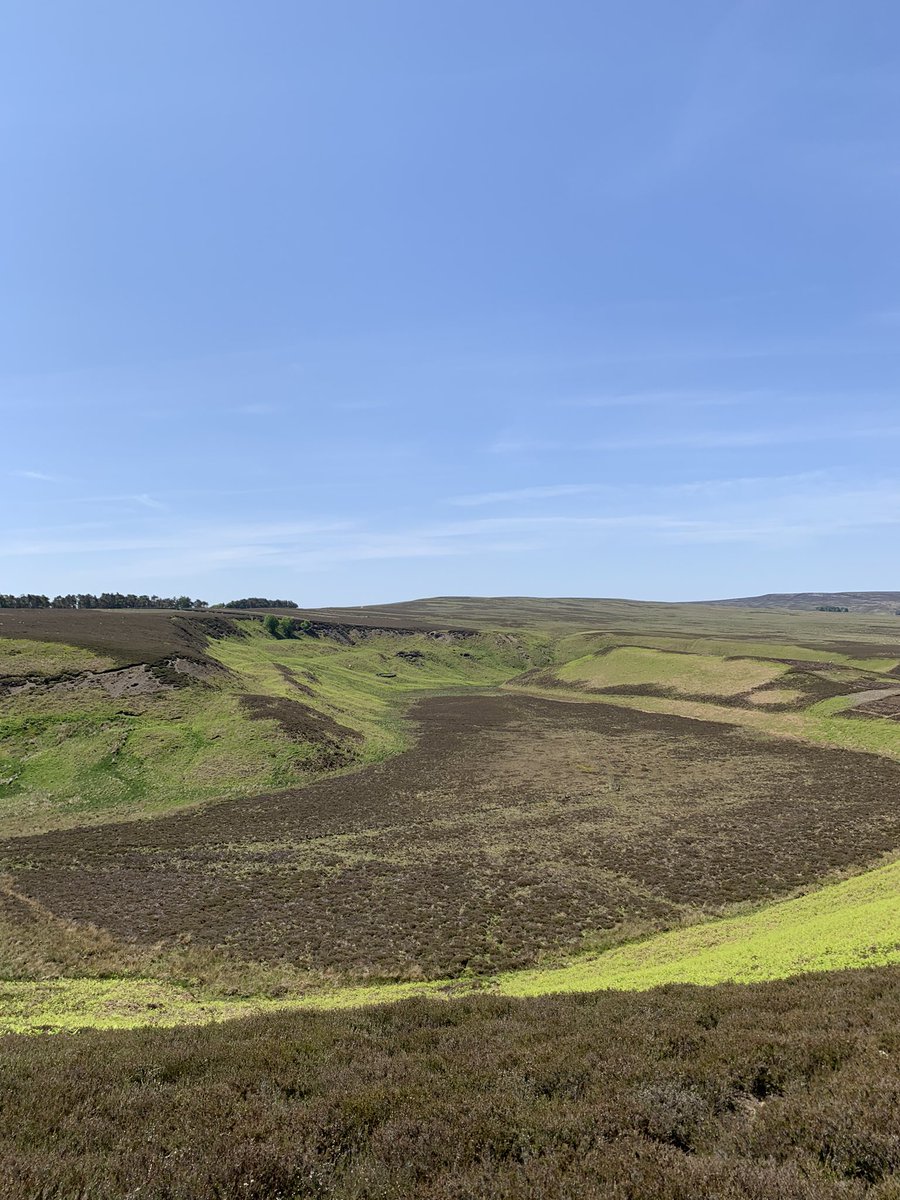 1markquigley's tweet photo. Glorious day on the moors around Blanchland- it really is grim up north! https://t.co/9TK1dRuqFw