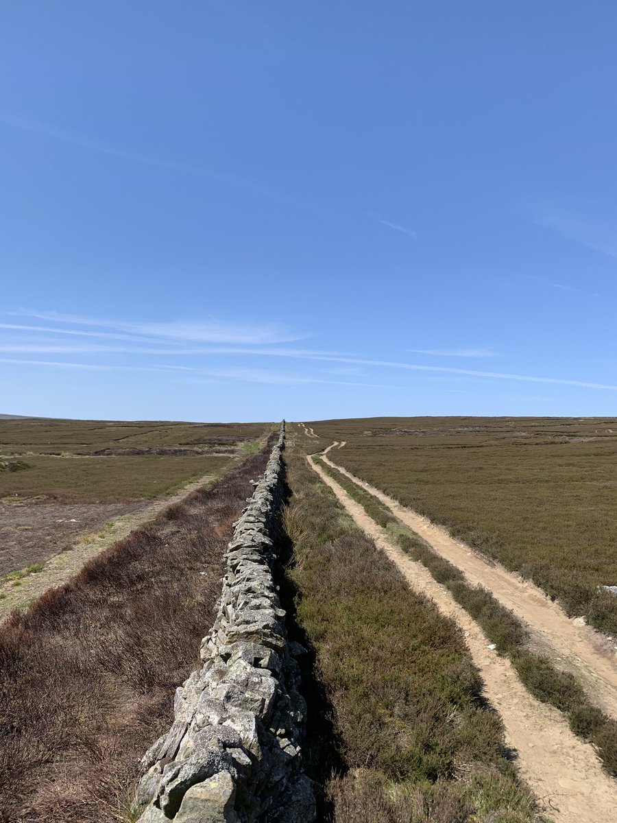 1markquigley's tweet photo. Glorious day on the moors around Blanchland- it really is grim up north! https://t.co/9TK1dRuqFw