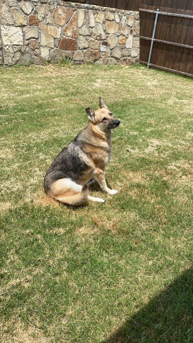 JayMoze66's tweet photo. Happy happy happy in the sun https://t.co/HNBS4gUQmS