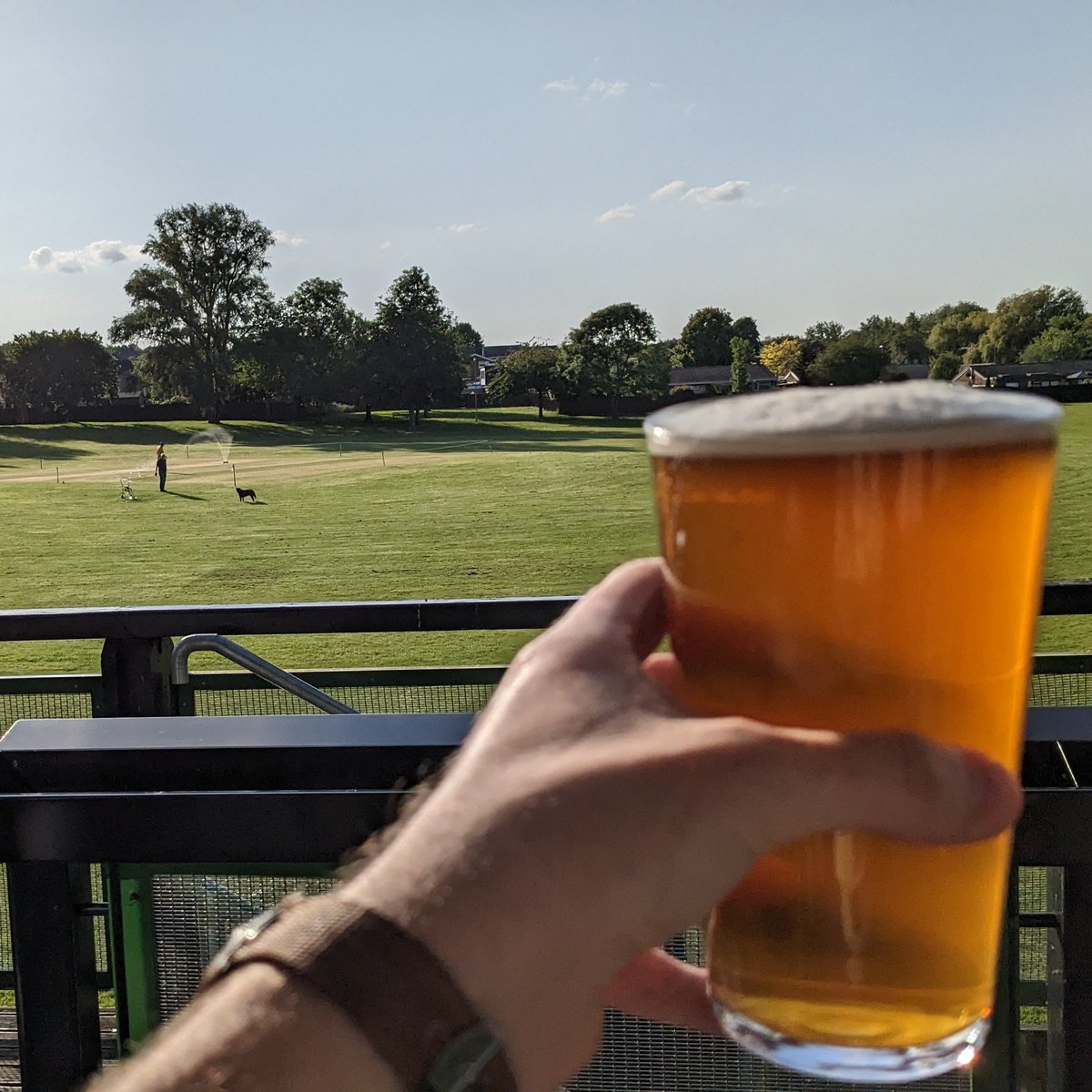 Cricket happened, I missed most of it, but a win seals a clean sweep for <a href="/CambridgeNCICC/">Cambridge NCI CC</a> this week. Wins for the 1s at Foxton and 3s vs friends <a href="/fendittoncc/">Fen Ditton CC</a> - hard lines guys, welcome to Parker's Piece.
Shout out to Bar Hill Social Club for good #realale <£4. Worth the ride out