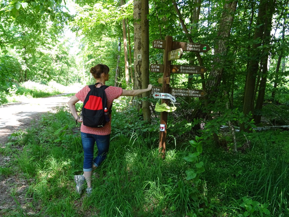 VIP_Britta's tweet photo. "Hier ist der Start, dort ist das Ziel. Dazwischen musst du Laufen" (Emil Zátopek) - 22,5 km-#Megamarsch erfolgreich beendet 🥾🎒🚶♀️🌞🌳🌾✌🏅 https://t.co/dtchWwBWgi