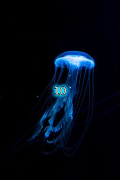 Slam_Words's tweet photo. #SlamWords #71stEdition #encore - round 10 (final)                     

Your prompt this round: taste of the sea     

#GuestHost - @AmandaJK_

Write a Scene or Dialogue // *all styles-genres welcome*     

#LetsWrite
***************
Thanks #Slammers !! https://t.co/ow6N0y8UdN