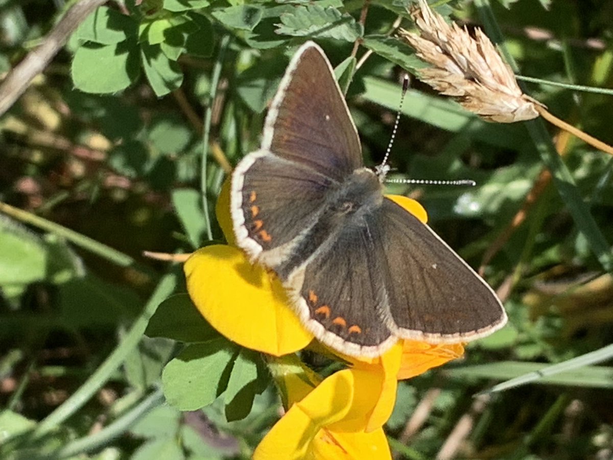 Tim Knight 🇺🇦 tweet media