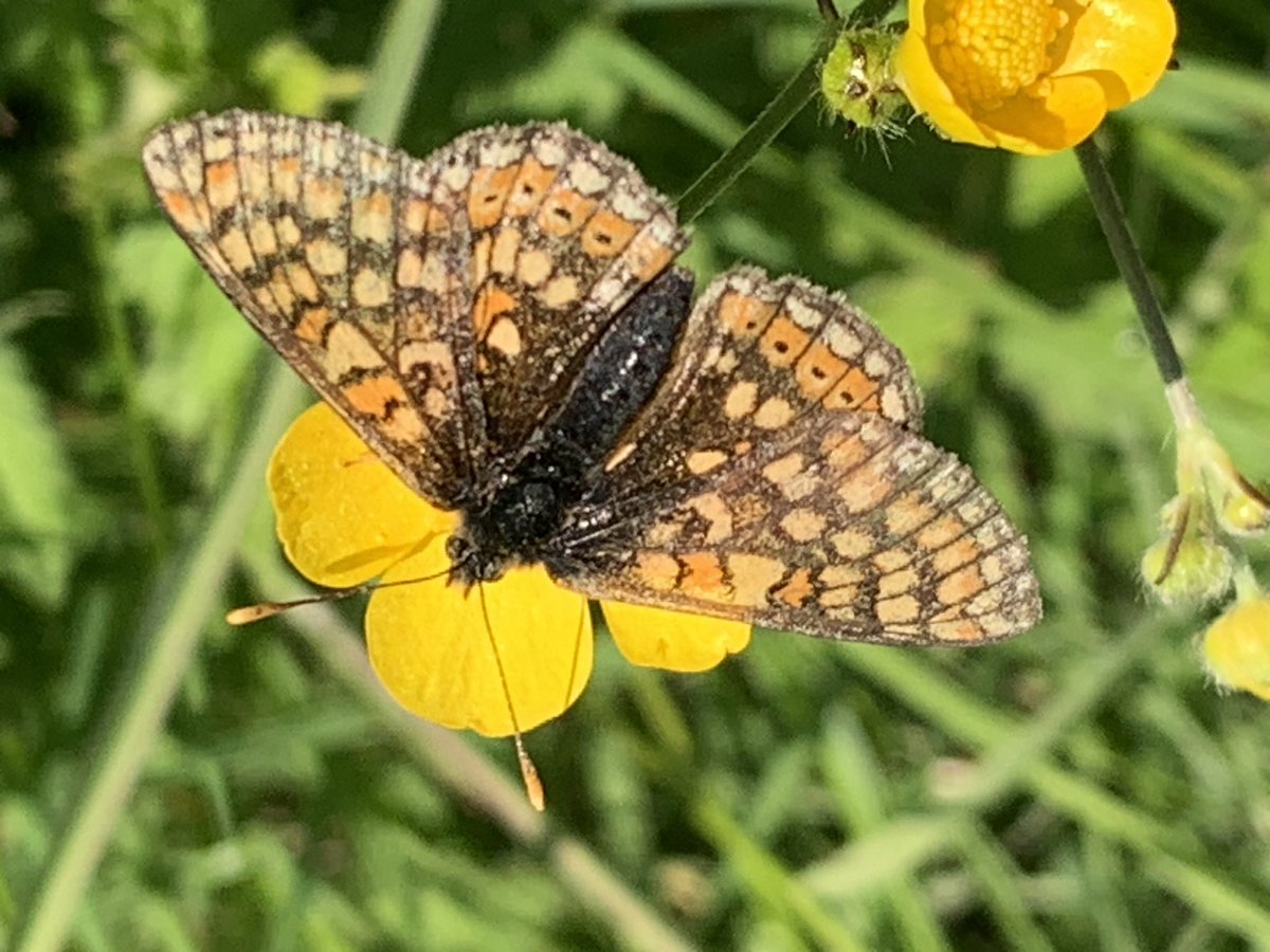 Tim Knight 🇺🇦 tweet media