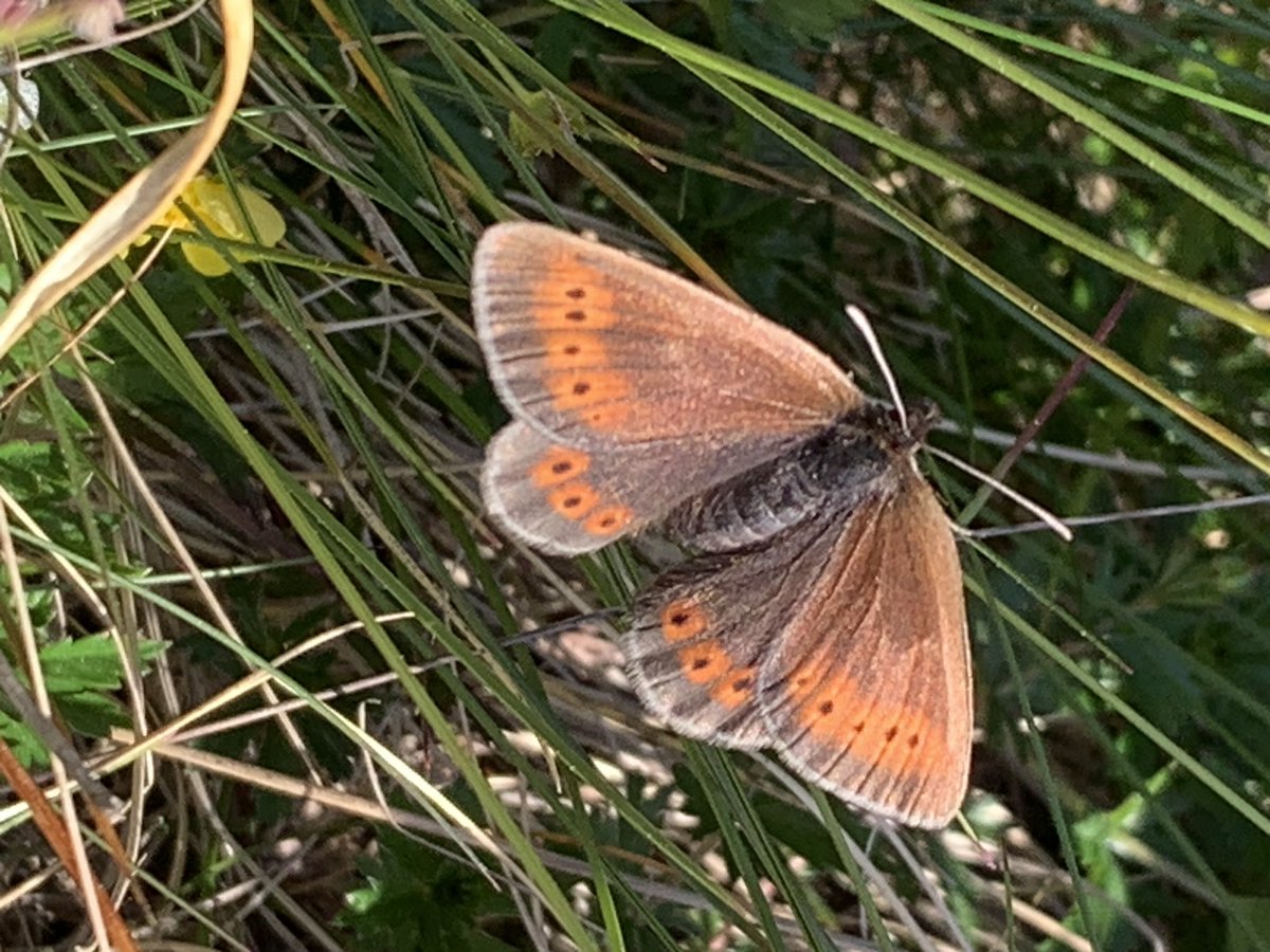 Tim Knight 🇺🇦 tweet media